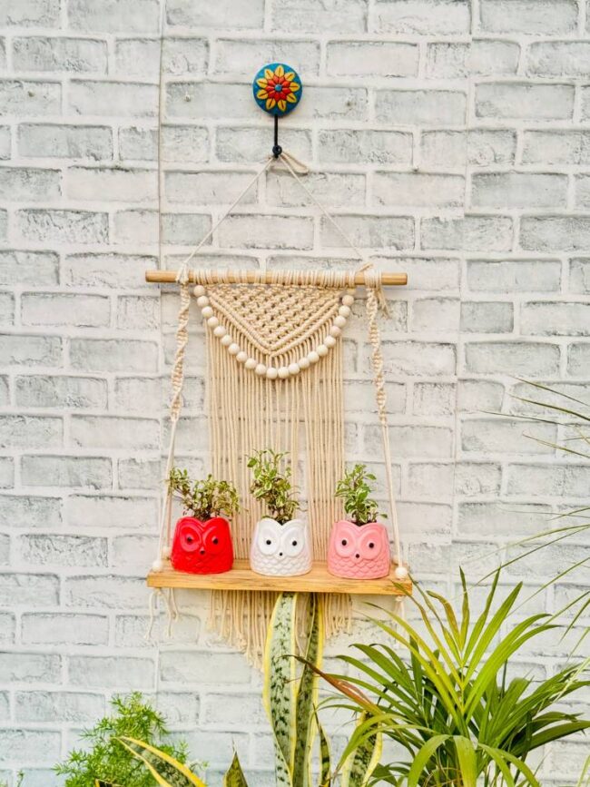 Rustic Boho Macrame Wall Shelf (With Hook) - Image 4