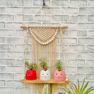 Rustic Boho Macrame Wall Shelf (With Hook)