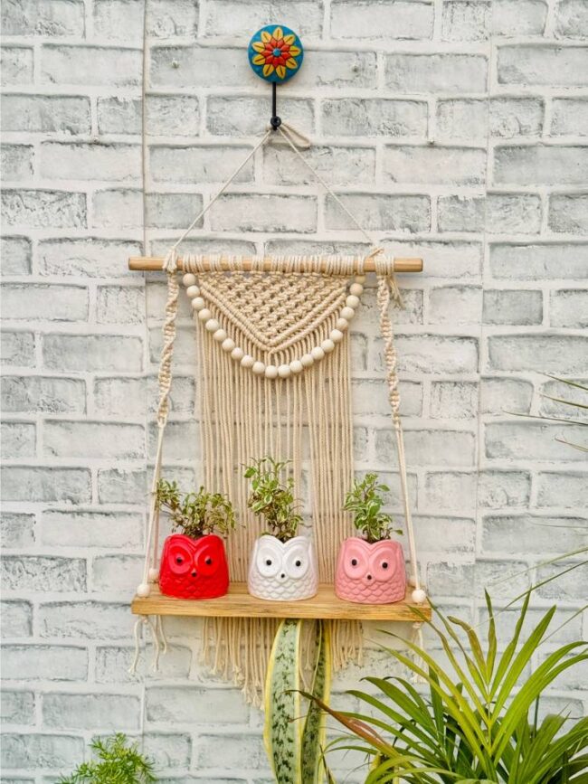 Rustic Boho Macrame Wall Shelf (With Hook)