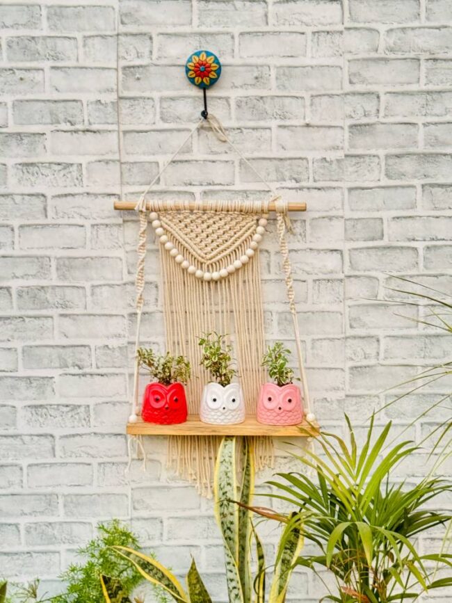 Rustic Boho Macrame Wall Shelf (With Hook) - Image 2