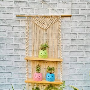 Rustic Macrame Twin Shelf Hanging (With Hook)