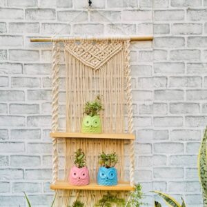 Rustic Macrame Twin Shelf Hanging (With Hook)