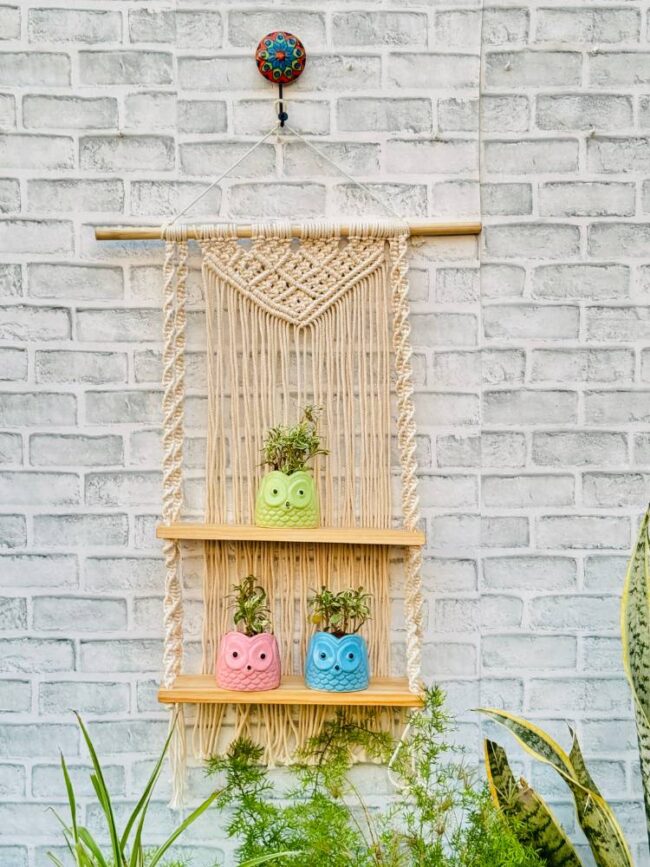 Rustic Macrame Twin Shelf Hanging (With Hook)