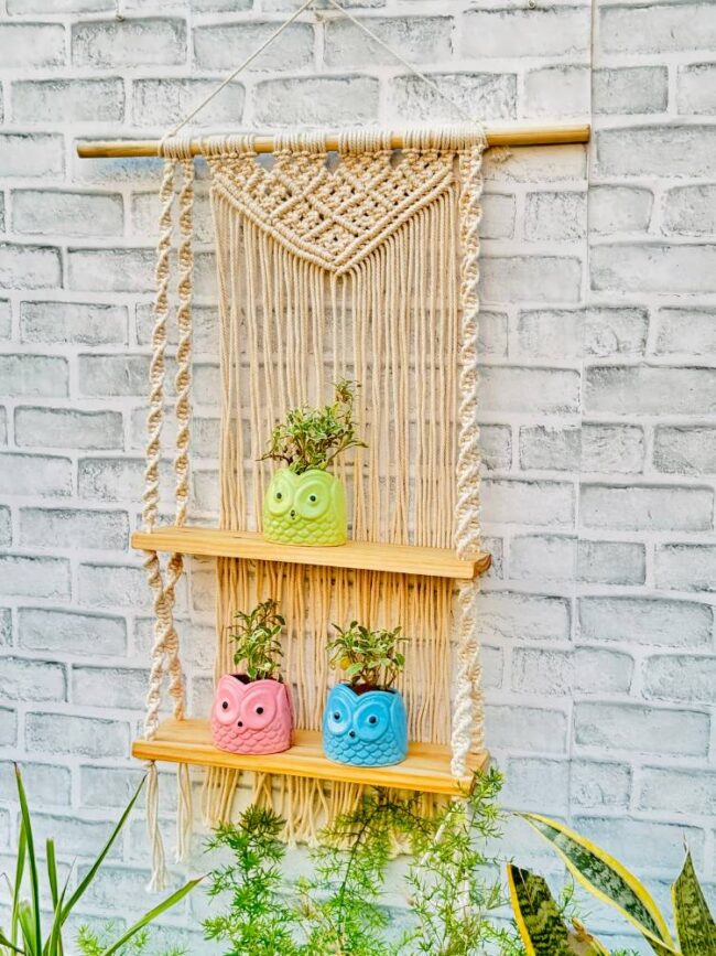 Rustic Macrame Twin Shelf Hanging (With Hook) - Image 4
