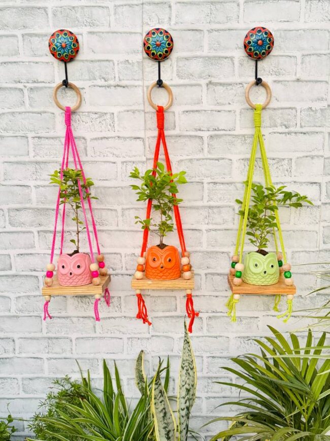 Basic Wooden Mini Wall Shelves Pink Orange Green (With Hook) - Image 3