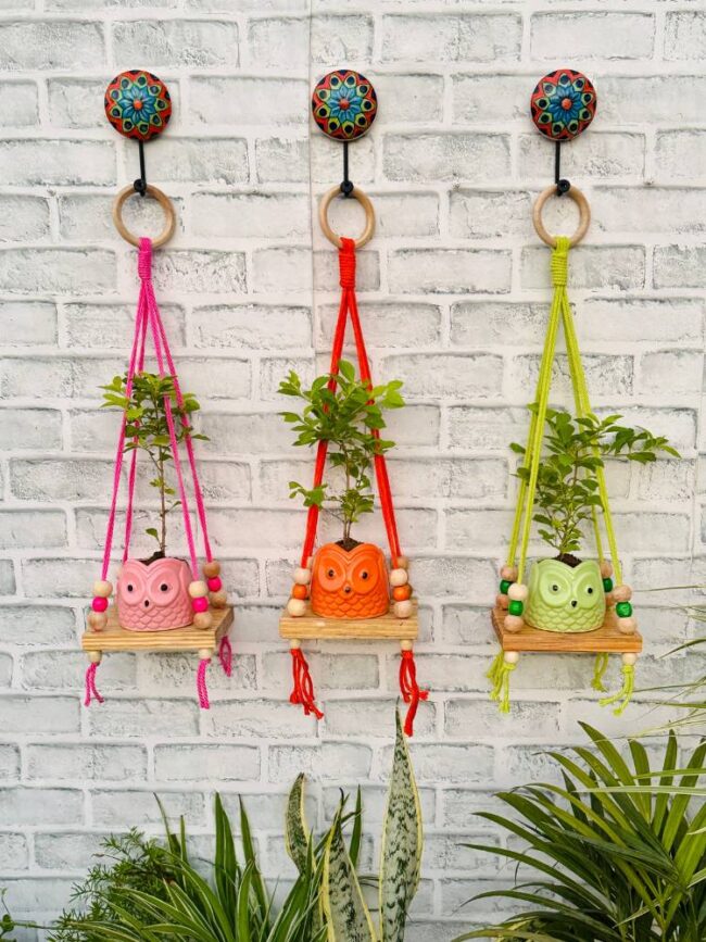 Basic Wooden Mini Wall Shelves Pink Orange Green (With Hook)