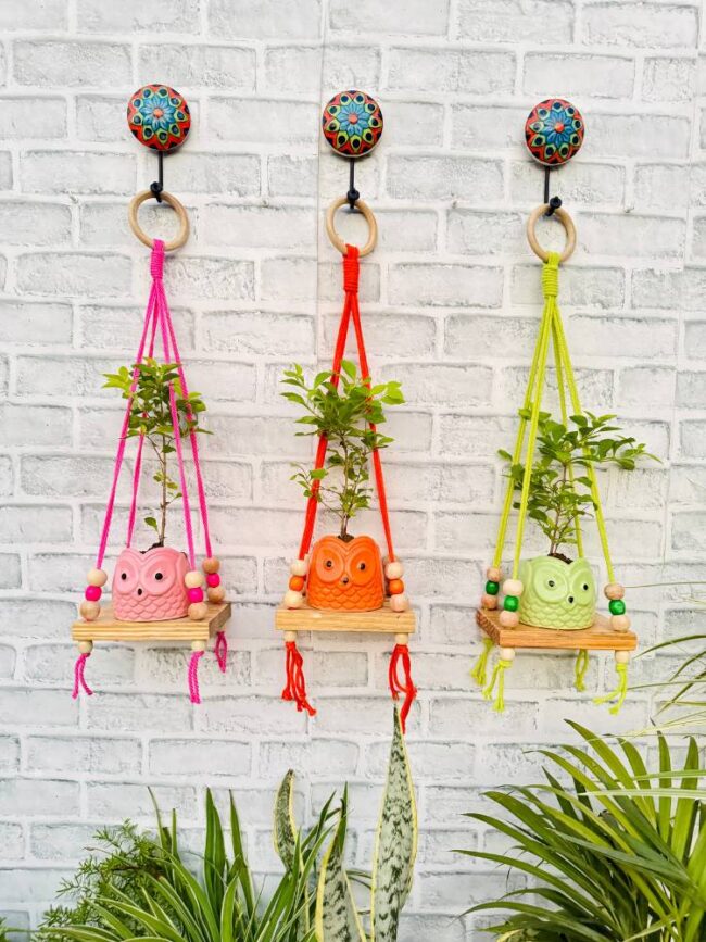 Basic Wooden Mini Wall Shelves Pink Orange Green (With Hook) - Image 4