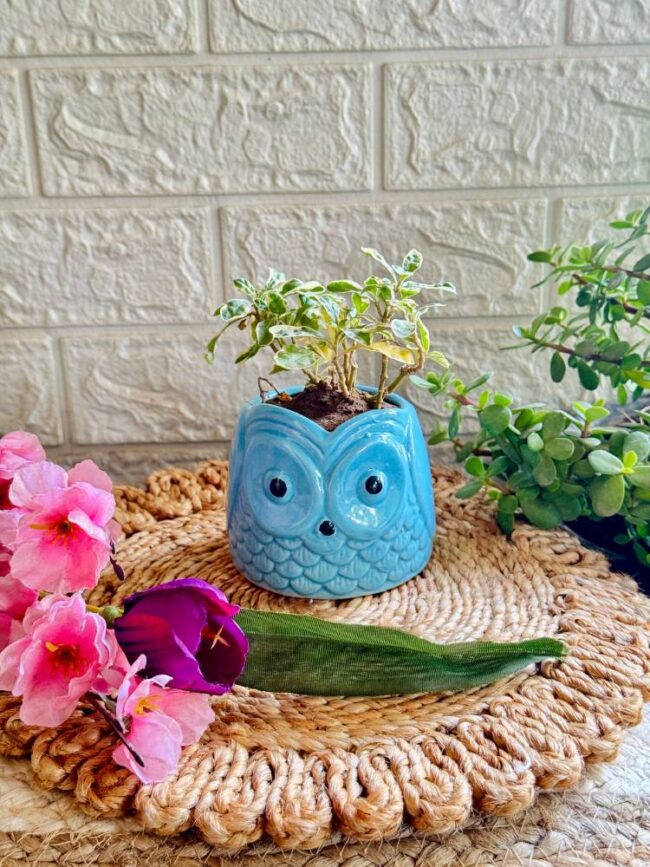 Handcrafted Ceramic Owl Planter Blue