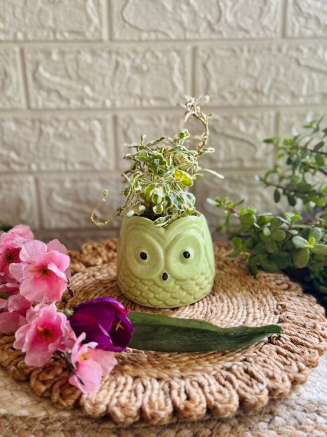 Handcrafted Ceramic Owl Planter Green
