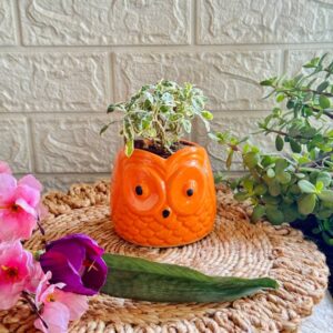 Handcrafted Ceramic Owl Planter Orange