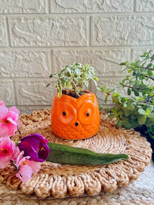 Handcrafted Ceramic Owl Planter Orange