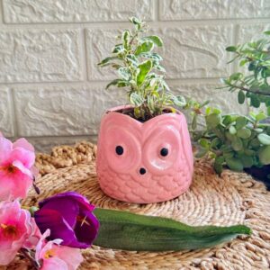 Handcrafted Ceramic Owl Planter Pink