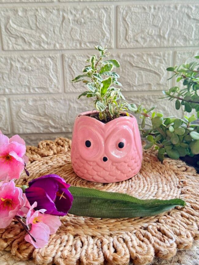 Handcrafted Ceramic Owl Planter Pink
