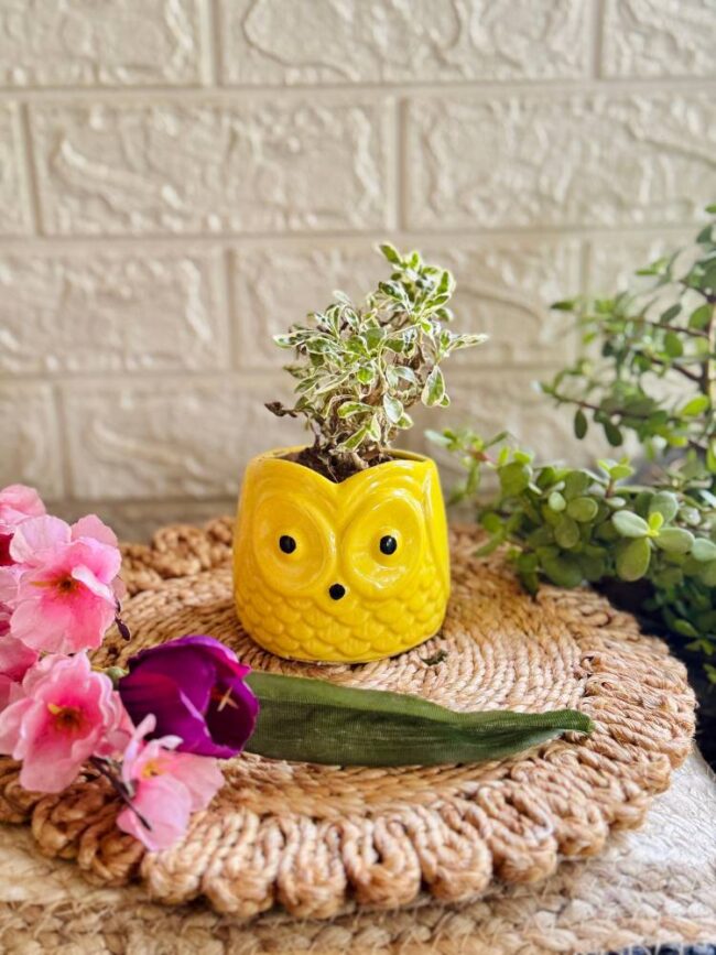 Handcrafted Ceramic Owl Planter Yellow